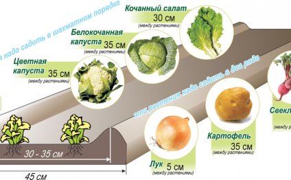 Метод Митлайдера для посадки