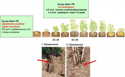 Основное удобрение и