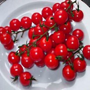 помидоры сорта черри