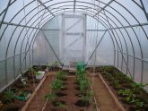 Выращивание Овощей в Теплице из Поликарбоната
