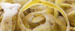 Подкормка рассады картофельным отваром Удобрение: картофельные очистки