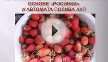 Автоматизация полива клубники на основе "Росинки" , http