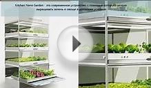 Бизнес идея: выращивание овощей и зелени с помощью