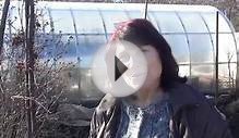 Готовим бочку под посев огурцов ч.1