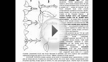 Курдюмов Н.И. Умный сад в подробностях. Садовая