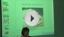 Подготовка почвы для рассады.