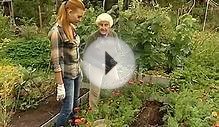 Сажаем морковь. Галина Кизима