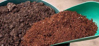 Выращивание рассады: почвенная смесь